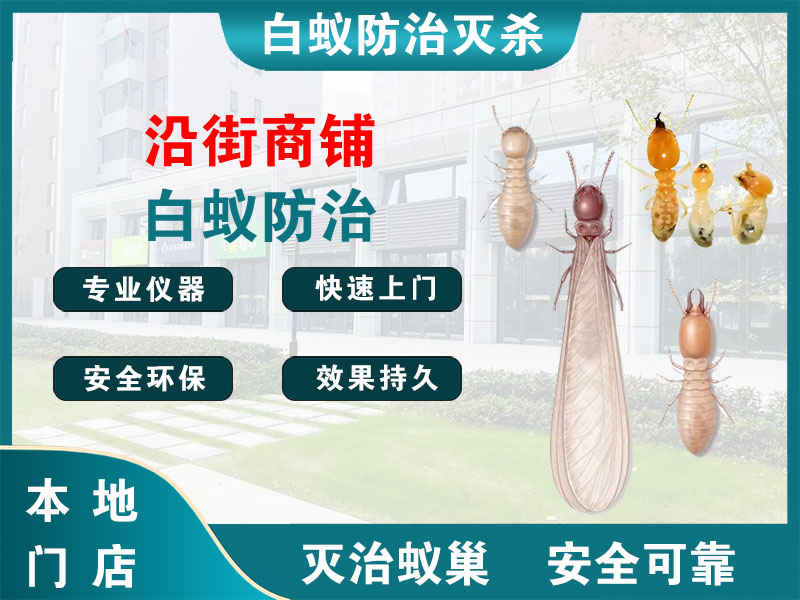 盐都沿街商铺白蚁防治