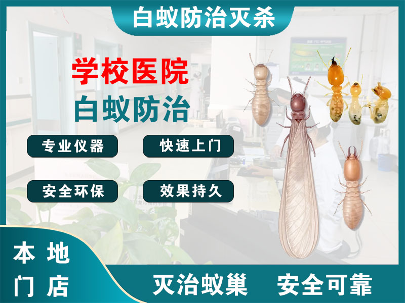 盐都学校医院白蚁防治