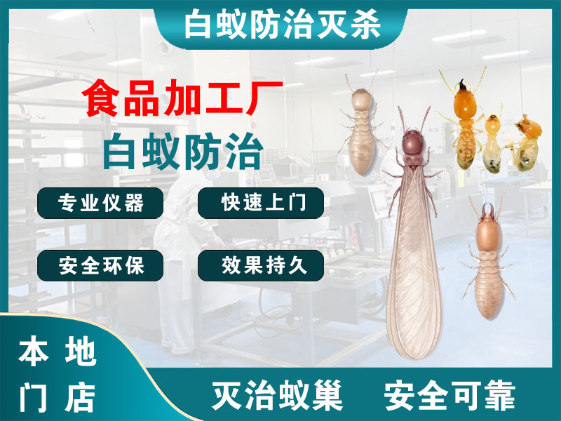 盐都食品加工厂白蚁防治
