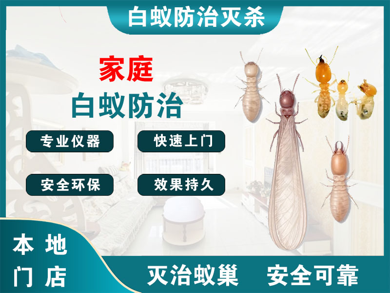 盐都家庭白蚁防治