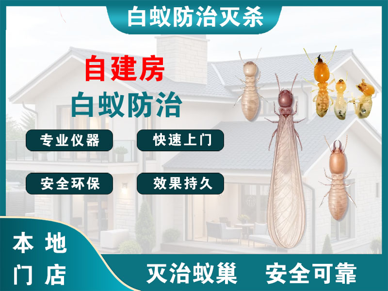 盐都自建房白蚁防治
