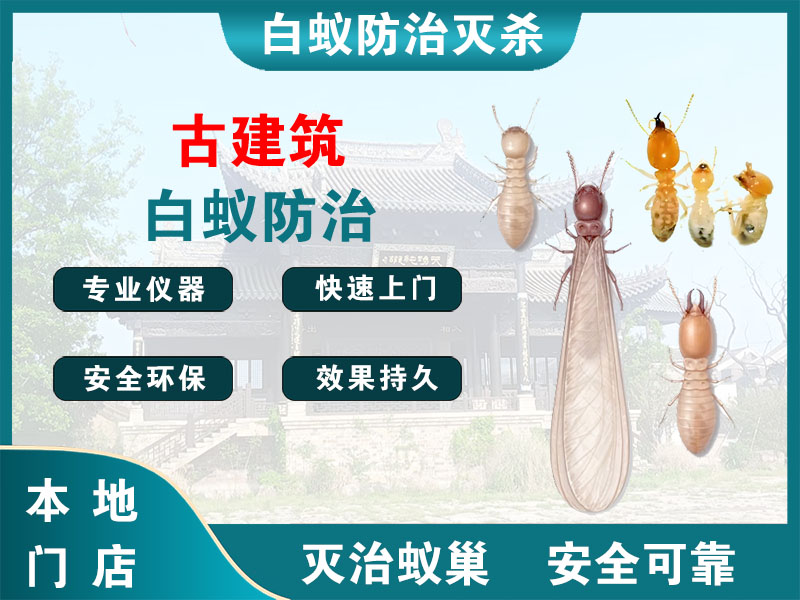 盐都古建筑白蚁防治