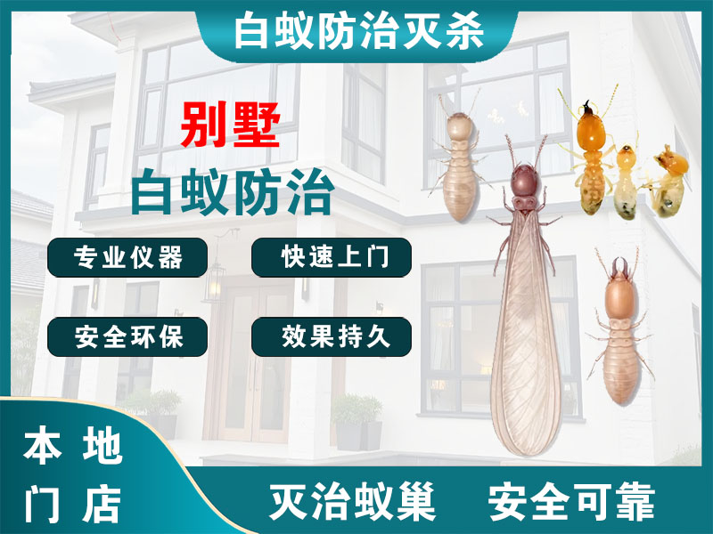 盐都别墅白蚁防治
