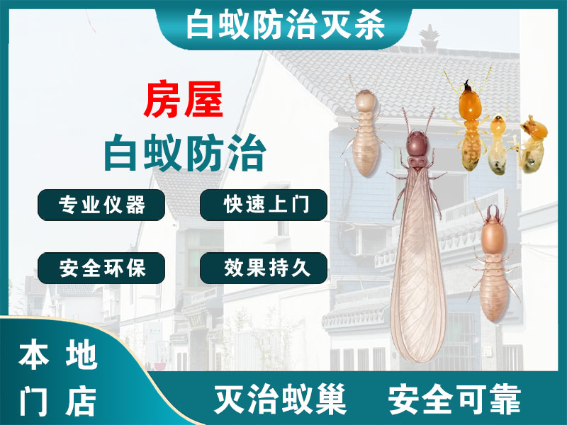 盐都房屋白蚁防治
